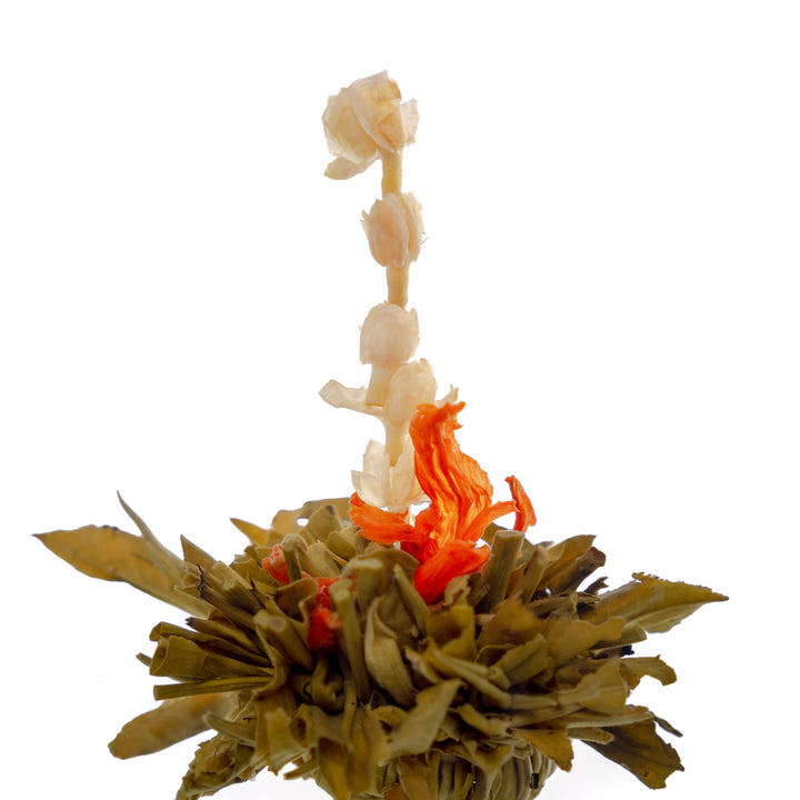 Bloeiende Groene Theebol - Autumn Beauty