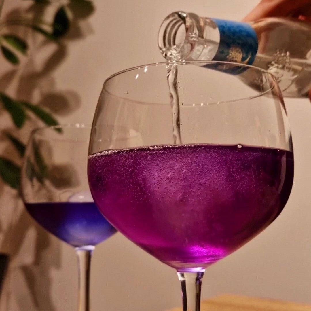 Fleurs de Pois-Papillon Séchées