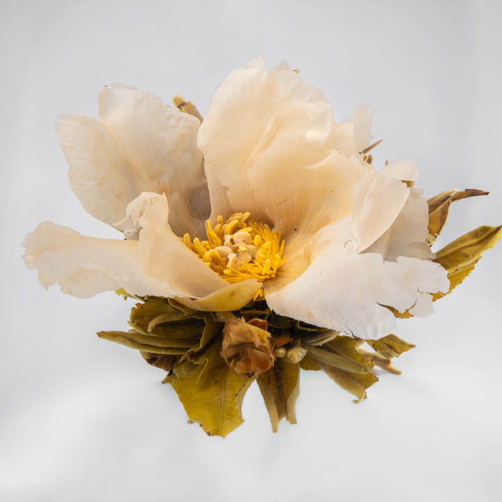 Flowering Green Tea Ball - Exquisite Beauty