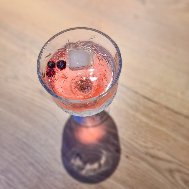 Gevriesdroogde Bosbessen