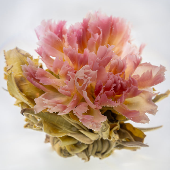 Flowering Green Tea Ball - Prismy