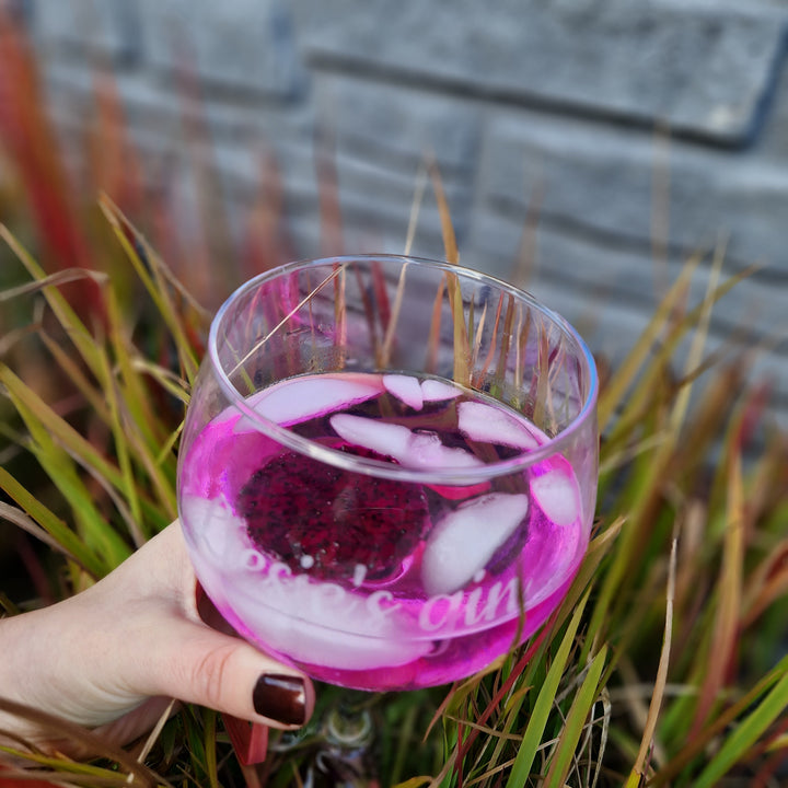 Tranches de pitahaya rouges séchées