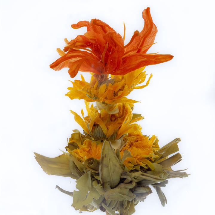 Bloeiende Groene Theebollen Cadeaumix